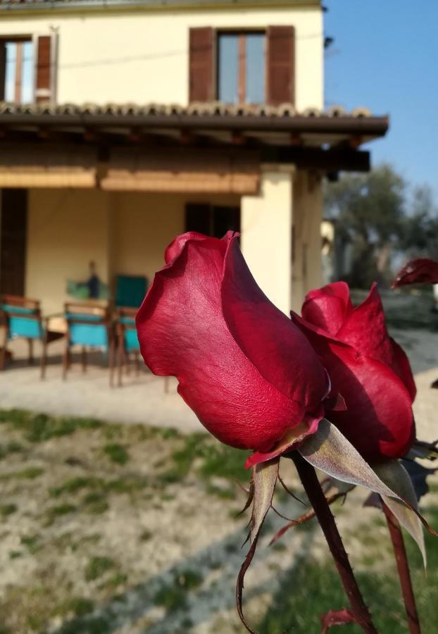 لوريتو أبروتينو B&B Conca Del Pretore المظهر الخارجي الصورة